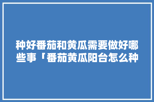 种好番茄和黄瓜需要做好哪些事「番茄黄瓜阳台怎么种植视频」 种好番茄和黄瓜需要做好哪些事「番茄黄瓜阳台怎么种植视频」 农业常识