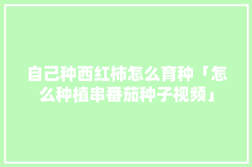 自己种西红柿怎么育种「怎么种植串番茄种子视频」 自己种西红柿怎么育种「怎么种植串番茄种子视频」 种植技巧