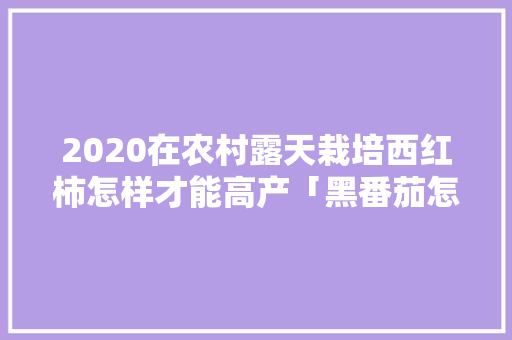 2020在农村露天栽培西红柿怎样才能高产「黑番茄怎么种植结果多一点」 2020在农村露天栽培西红柿怎样才能高产「黑番茄怎么种植结果多一点」 番茄病虫害防治