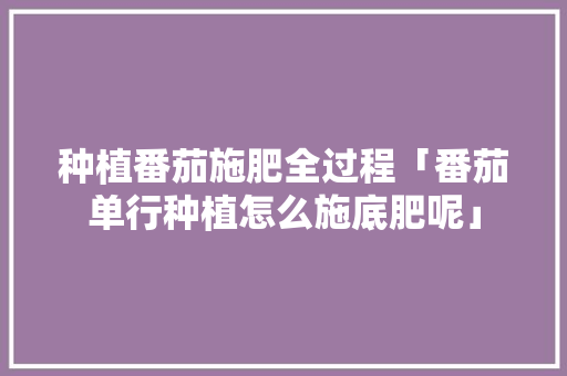 种植番茄施肥全过程「番茄单行种植怎么施底肥呢」 种植番茄施肥全过程「番茄单行种植怎么施底肥呢」 番茄病虫害防治