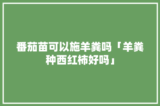番茄苗可以施羊粪吗「羊粪种西红柿好吗」 番茄苗可以施羊粪吗「羊粪种西红柿好吗」 种植技巧