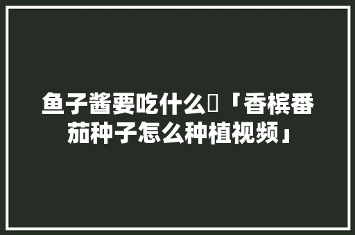 鱼子酱要吃什么魚「香槟番茄种子怎么种植视频」 鱼子酱要吃什么魚「香槟番茄种子怎么种植视频」 农业常识