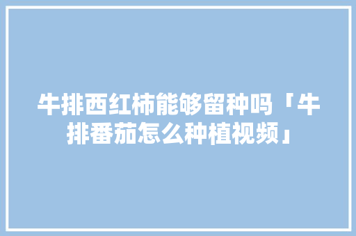 牛排西红柿能够留种吗「牛排番茄怎么种植视频」 牛排西红柿能够留种吗「牛排番茄怎么种植视频」 农业常识