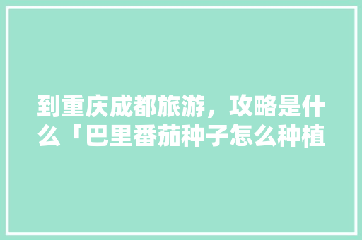 到重庆成都旅游,攻略是什么「巴里番茄种子怎么种植视频」 番茄病虫害防治 到重庆成都旅游,攻略是什么「巴里番茄种子怎么种植视频」 到重庆成都旅游,攻略是什么「巴里番茄种子怎么种植视频」 番茄病虫害防治