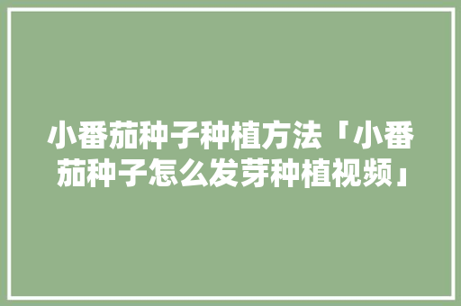 小番茄种子种植方法「小番茄种子怎么发芽种植视频」 小番茄种子种植方法「小番茄种子怎么发芽种植视频」 番茄种植技巧