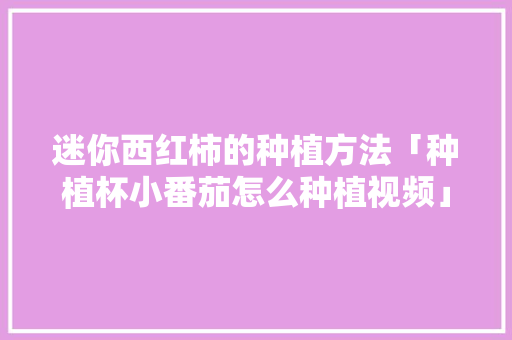 迷你西红柿的种植方法「种植杯小番茄怎么种植视频」 迷你西红柿的种植方法「种植杯小番茄怎么种植视频」 植物种类