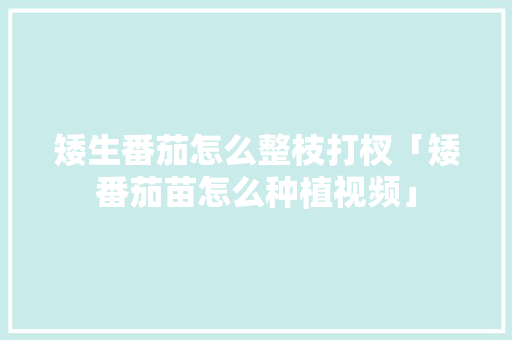矮生番茄怎么整枝打杈「矮番茄苗怎么种植视频」 矮生番茄怎么整枝打杈「矮番茄苗怎么种植视频」 花朵知识