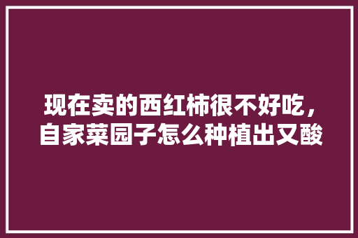 现在卖的西红柿很不好吃，自家菜园子怎么种植出又酸又甜的西红柿呢「番茄种植怎么增甜呢」 现在卖的西红柿很不好吃，自家菜园子怎么种植出又酸又甜的西红柿呢「番茄种植怎么增甜呢」 农业常识