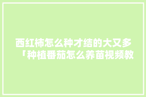 西红柿怎么种才结的大又多「种植番茄怎么养苗视频教程」 西红柿怎么种才结的大又多「种植番茄怎么养苗视频教程」 番茄病虫害防治