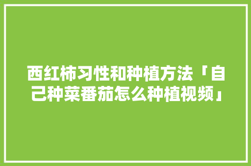 西红柿习性和种植方法「自己种菜番茄怎么种植视频」 西红柿习性和种植方法「自己种菜番茄怎么种植视频」 番茄病虫害防治