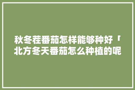 秋冬茬番茄怎样能够种好「北方冬天番茄怎么种植的呢」 秋冬茬番茄怎样能够种好「北方冬天番茄怎么种植的呢」 番茄病虫害防治