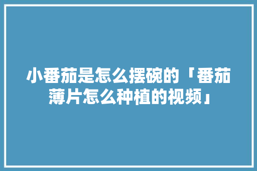 小番茄是怎么摆碗的「番茄薄片怎么种植的视频」 小番茄是怎么摆碗的「番茄薄片怎么种植的视频」 种植技巧