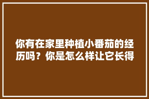 你有在家里种植小番茄的经历吗？你是怎么样让它长得更好的「小番茄家里怎么种植好吃呢」 你有在家里种植小番茄的经历吗？你是怎么样让它长得更好的「小番茄家里怎么种植好吃呢」 农业常识