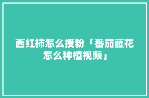 西红柿怎么授粉「番茄蘸花怎么种植视频」 西红柿怎么授粉「番茄蘸花怎么种植视频」 种植技巧