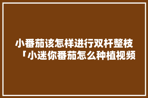 小番茄该怎样进行双杆整枝「小迷你番茄怎么种植视频教程」 小番茄该怎样进行双杆整枝「小迷你番茄怎么种植视频教程」 农业常识