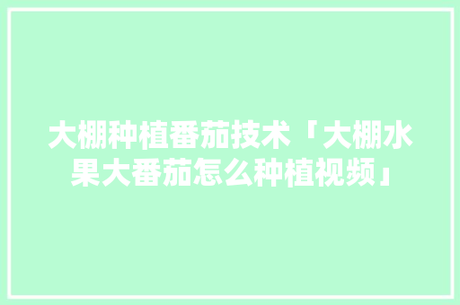 大棚种植番茄技术「大棚水果大番茄怎么种植视频」 大棚种植番茄技术「大棚水果大番茄怎么种植视频」 番茄种植技巧