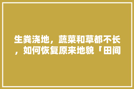 生粪浇地，蔬菜和草都不长，如何恢复原来地貌「田间蔬菜种植技巧与方法视频」