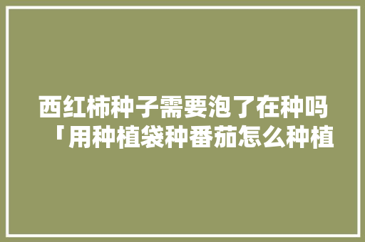 西红柿种子需要泡了在种吗「用种植袋种番茄怎么种植视频」 土壤施肥 西红柿种子需要泡了在种吗「用种植袋种番茄怎么种植视频」 西红柿种子需要泡了在种吗「用种植袋种番茄怎么种植视频」 土壤施肥