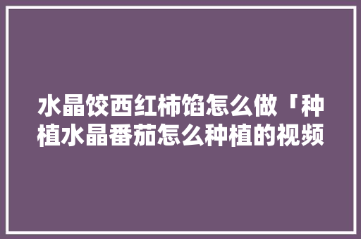 水晶饺西红柿馅怎么做「种植水晶番茄怎么种植的视频」 水晶饺西红柿馅怎么做「种植水晶番茄怎么种植的视频」 番茄病虫害防治