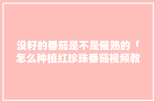 没籽的番茄是不是催熟的「怎么种植红珍珠番茄视频教程」 土壤施肥 没籽的番茄是不是催熟的「怎么种植红珍珠番茄视频教程」 没籽的番茄是不是催熟的「怎么种植红珍珠番茄视频教程」 土壤施肥