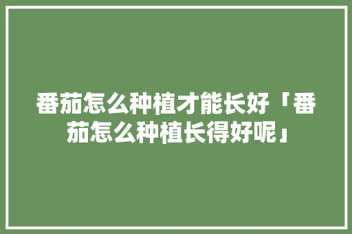 番茄怎么种植才能长好「番茄怎么种植长得好呢」 番茄怎么种植才能长好「番茄怎么种植长得好呢」 番茄种植技巧