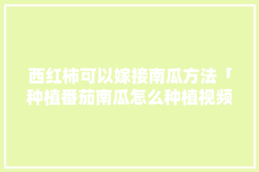 西红柿可以嫁接南瓜方法「种植番茄南瓜怎么种植视频」