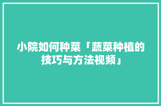 小院如何种菜「蔬菜种植的技巧与方法视频」 小院如何种菜「蔬菜种植的技巧与方法视频」 番茄种植技巧