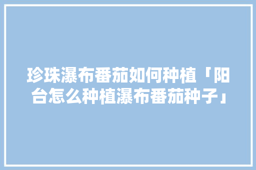珍珠瀑布番茄如何种植「阳台怎么种植瀑布番茄种子」 珍珠瀑布番茄如何种植「阳台怎么种植瀑布番茄种子」 种植技巧
