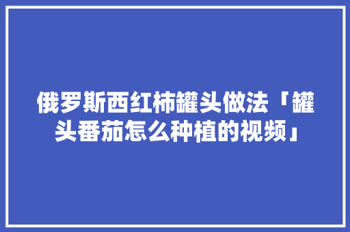 俄罗斯西红柿罐头做法「罐头番茄怎么种植的视频」 俄罗斯西红柿罐头做法「罐头番茄怎么种植的视频」 植物种类