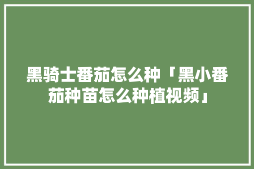 黑骑士番茄怎么种「黑小番茄种苗怎么种植视频」 黑骑士番茄怎么种「黑小番茄种苗怎么种植视频」 植物种类