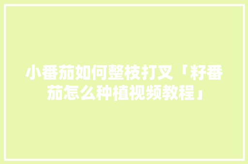 小番茄如何整枝打叉「籽番茄怎么种植视频教程」 小番茄如何整枝打叉「籽番茄怎么种植视频教程」 土壤施肥