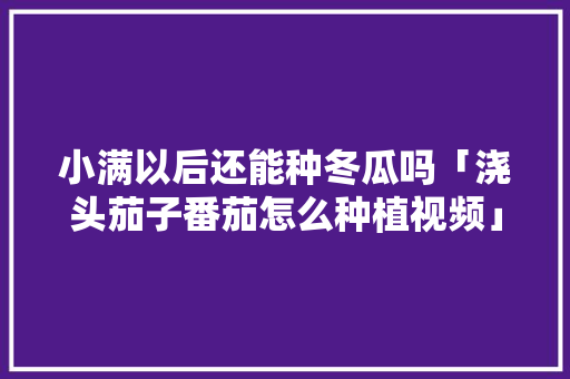 小满以后还能种冬瓜吗「浇头茄子番茄怎么种植视频」 小满以后还能种冬瓜吗「浇头茄子番茄怎么种植视频」 番茄种植技巧
