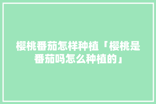 樱桃番茄怎样种植「樱桃是番茄吗怎么种植的」 樱桃番茄怎样种植「樱桃是番茄吗怎么种植的」 番茄病虫害防治