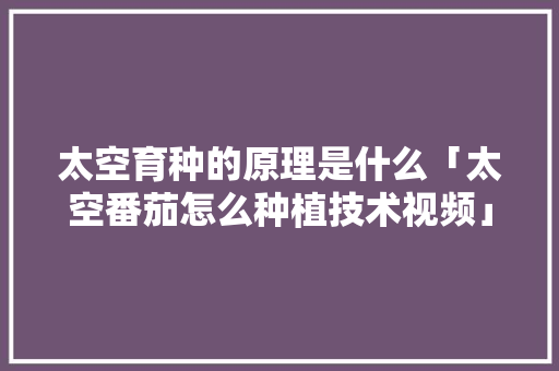 太空育种的原理是什么「太空番茄怎么种植技术视频」
