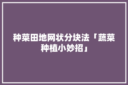 种菜田地网状分块法「蔬菜种植小妙招」 种菜田地网状分块法「蔬菜种植小妙招」 农业常识