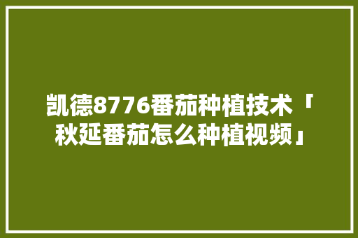 凯德8776番茄种植技术「秋延番茄怎么种植视频」 凯德8776番茄种植技术「秋延番茄怎么种植视频」 番茄病虫害防治