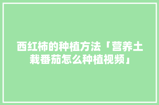西红柿的种植方法「营养土栽番茄怎么种植视频」 西红柿的种植方法「营养土栽番茄怎么种植视频」 番茄种植技巧