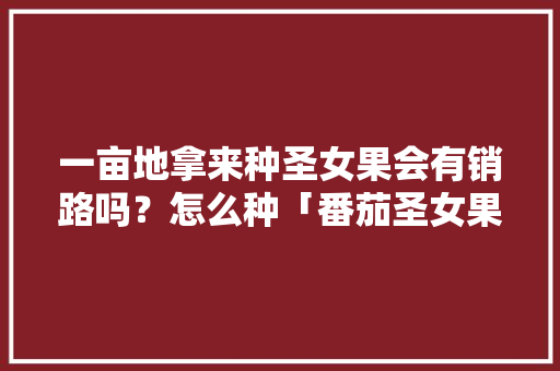 一亩地拿来种圣女果会有销路吗？怎么种「番茄圣女果怎么种植视频教程」 一亩地拿来种圣女果会有销路吗？怎么种「番茄圣女果怎么种植视频教程」 番茄病虫害防治