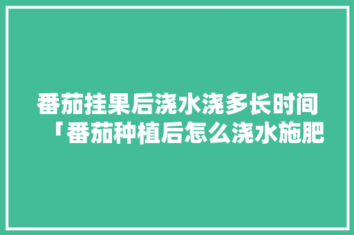 番茄挂果后浇水浇多长时间「番茄种植后怎么浇水施肥」 番茄挂果后浇水浇多长时间「番茄种植后怎么浇水施肥」 番茄种植技巧
