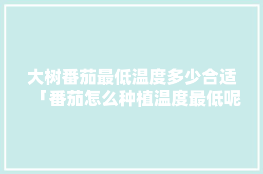 大树番茄最低温度多少合适「番茄怎么种植温度最低呢视频」 大树番茄最低温度多少合适「番茄怎么种植温度最低呢视频」 植物种类
