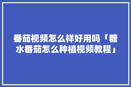 番茄视频怎么样好用吗「糖水番茄怎么种植视频教程」 番茄视频怎么样好用吗「糖水番茄怎么种植视频教程」 番茄种植技巧