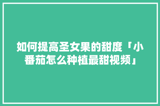 如何提高圣女果的甜度「小番茄怎么种植最甜视频」 如何提高圣女果的甜度「小番茄怎么种植最甜视频」 植物种类