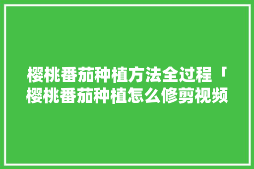 樱桃番茄种植方法全过程「樱桃番茄种植怎么修剪视频」 樱桃番茄种植方法全过程「樱桃番茄种植怎么修剪视频」 种植技巧