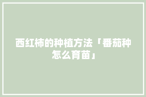 西红柿的种植方法「番茄种怎么育苗」 西红柿的种植方法「番茄种怎么育苗」 农业常识