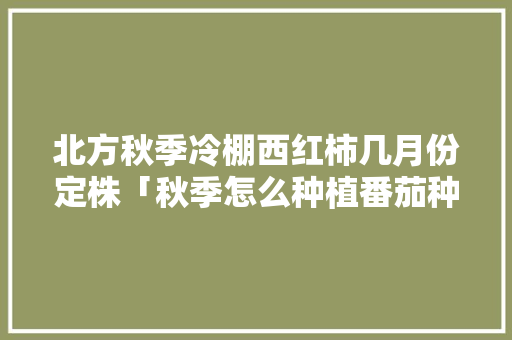 北方秋季冷棚西红柿几月份定株「秋季怎么种植番茄种子呢」 植物种类 北方秋季冷棚西红柿几月份定株「秋季怎么种植番茄种子呢」 北方秋季冷棚西红柿几月份定株「秋季怎么种植番茄种子呢」 植物种类