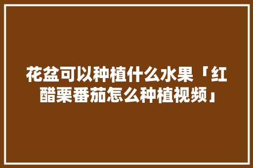 花盆可以种植什么水果「红醋栗番茄怎么种植视频」 花盆可以种植什么水果「红醋栗番茄怎么种植视频」 种植技巧