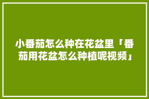 小番茄怎么种在花盆里「番茄用花盆怎么种植呢视频」 小番茄怎么种在花盆里「番茄用花盆怎么种植呢视频」 种植技巧