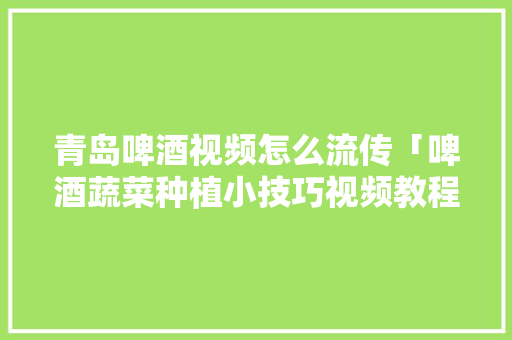 青岛啤酒视频怎么流传「啤酒蔬菜种植小技巧视频教程」 青岛啤酒视频怎么流传「啤酒蔬菜种植小技巧视频教程」 番茄种植技巧