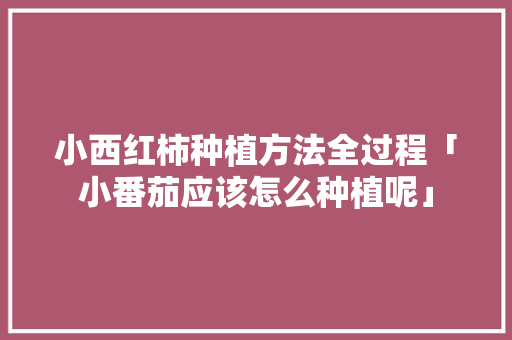 小西红柿种植方法全过程「小番茄应该怎么种植呢」 小西红柿种植方法全过程「小番茄应该怎么种植呢」 种植技巧