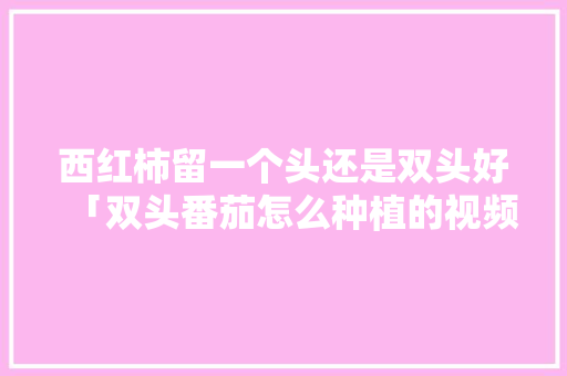 西红柿留一个头还是双头好「双头番茄怎么种植的视频」